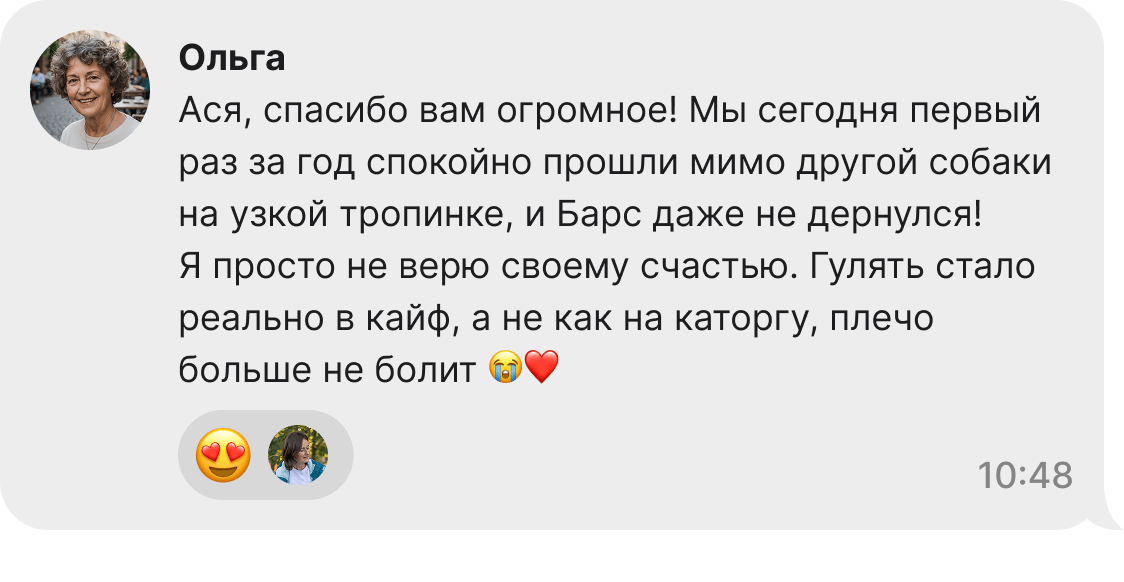 Отзыв владельца о работе кинолога Аси Окорочковой: успешная коррекция поведения собаки