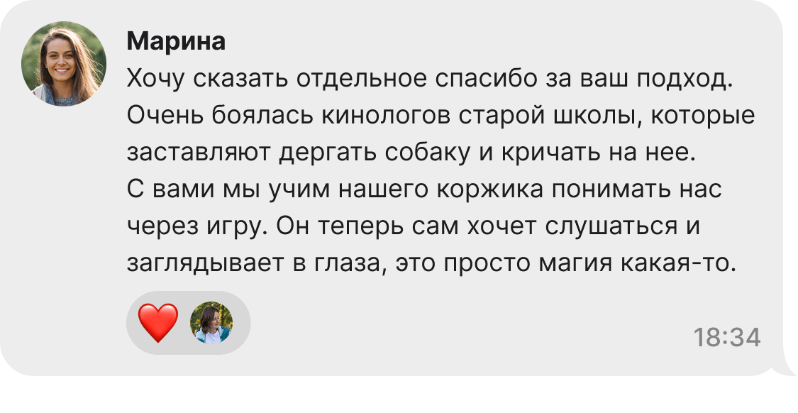 Отзыв владельца о работе кинолога Аси Окорочковой: успешная коррекция поведения собаки