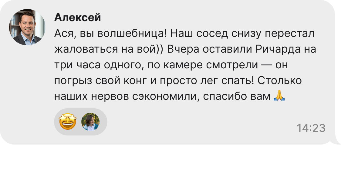Отзыв владельца о работе кинолога Аси Окорочковой: успешная коррекция поведения собаки